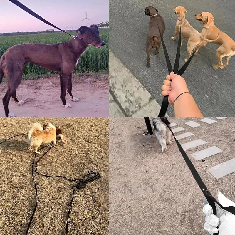 "Freedom" Long Training Lead