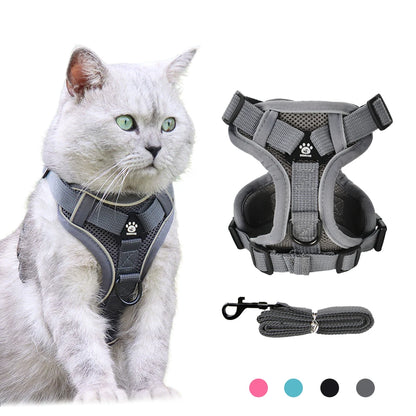 Adventure Cat Tactical Harness & Lead