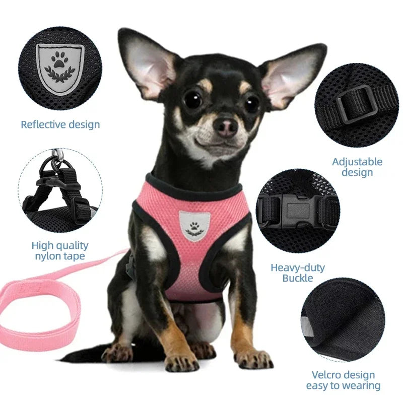 No-Pull Soft Mesh Pet Harness & Lead