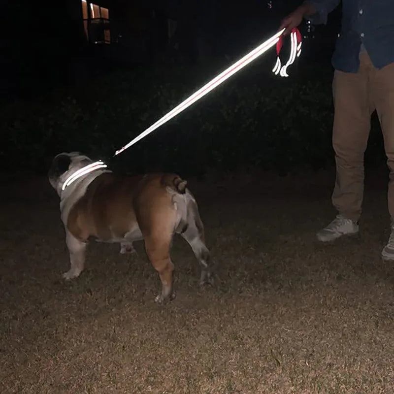 Premium Night-Reflective Lead