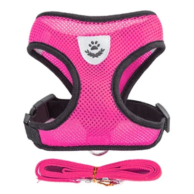 No-Pull Soft Mesh Pet Harness & Lead