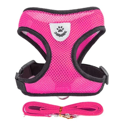 No-Pull Soft Mesh Pet Harness & Lead