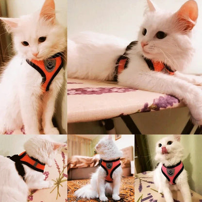 No-Pull Soft Mesh Pet Harness & Lead
