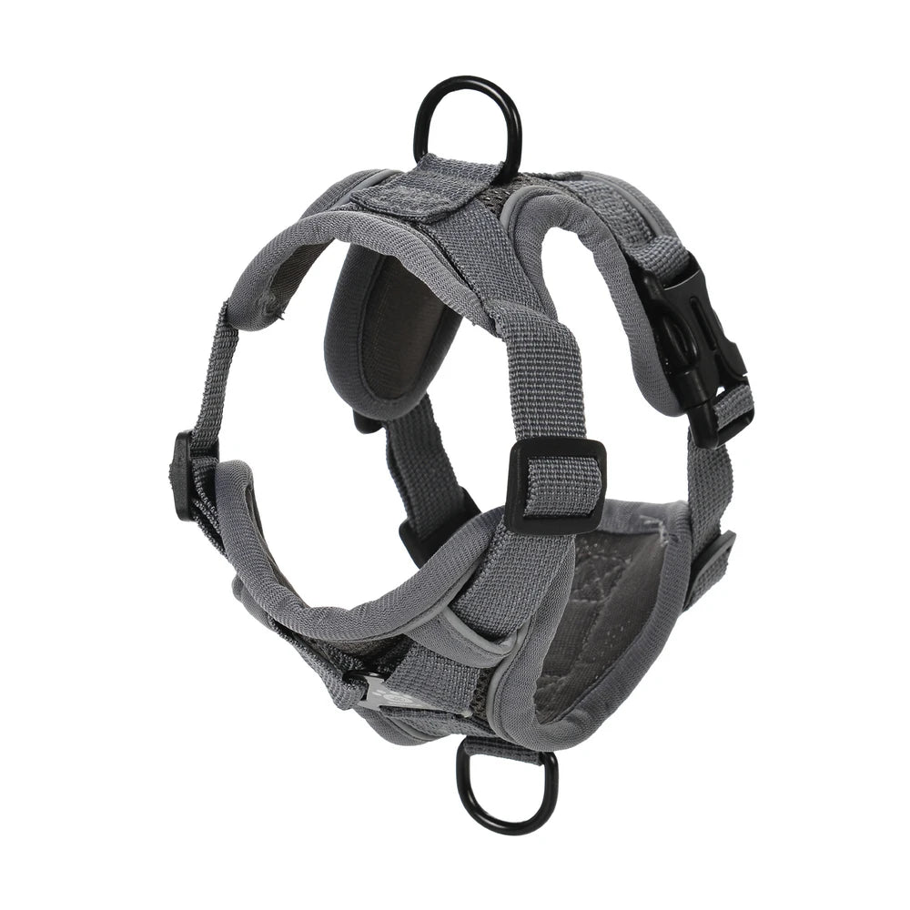 Adventure Cat Tactical Harness & Lead