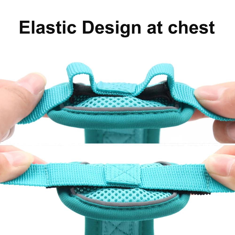 Adventure Cat Tactical Harness & Lead