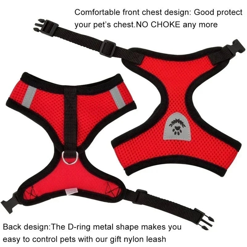 No-Pull Soft Mesh Pet Harness & Lead
