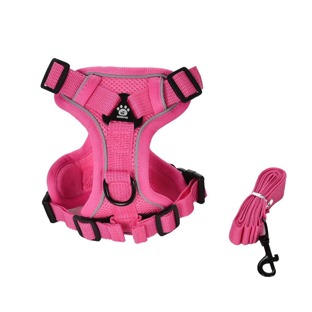Adventure Cat Tactical Harness & Lead