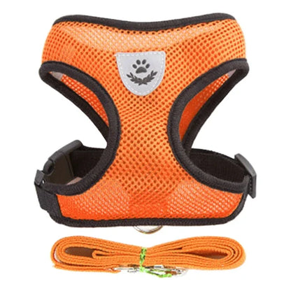 No-Pull Soft Mesh Pet Harness & Lead