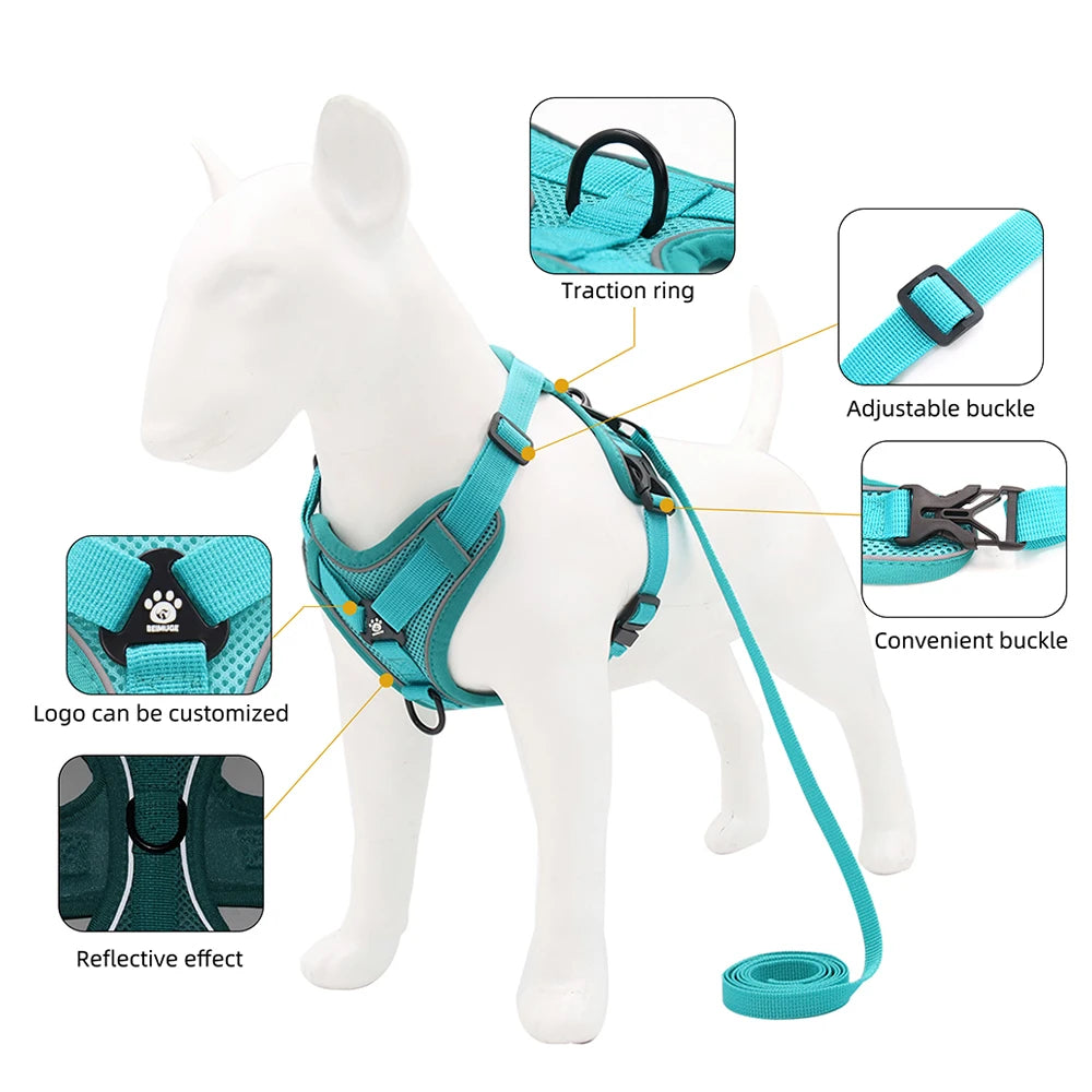 Adventure Cat Tactical Harness & Lead