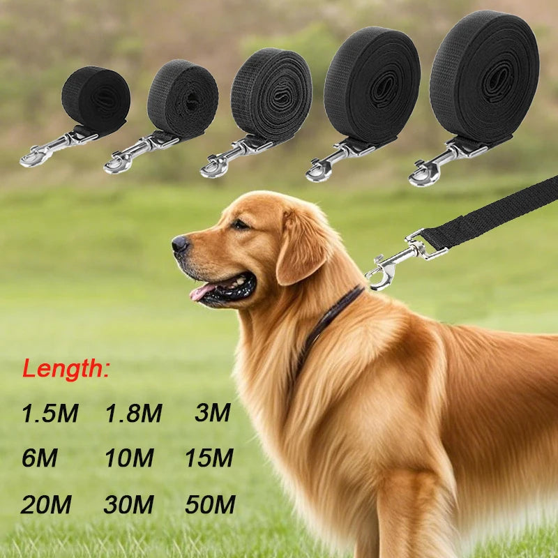 "Freedom" Long Training Lead