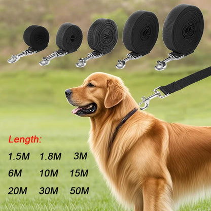 "Freedom" Long Training Lead
