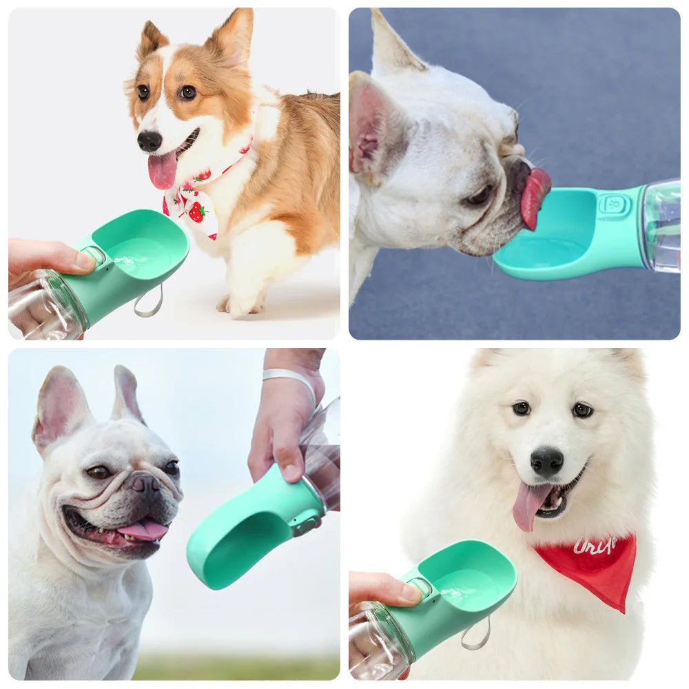 Portable Pet Water Bottle for Walks