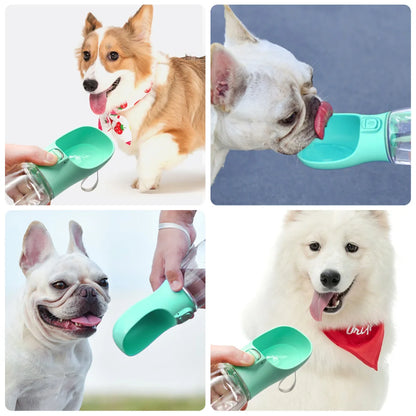 Portable Pet Water Bottle for Walks