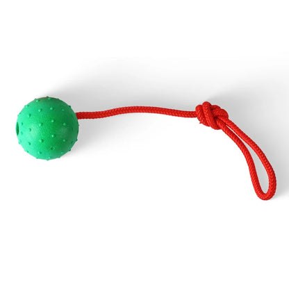 Indestructible Rubber & Rope Dental Ball
