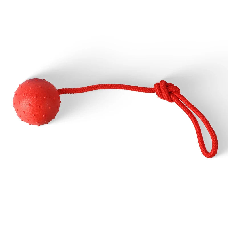 Indestructible Rubber & Rope Dental Ball