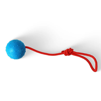 Indestructible Rubber & Rope Dental Ball