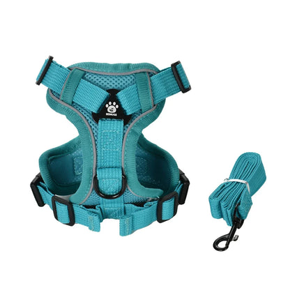 Adventure Cat Tactical Harness & Lead