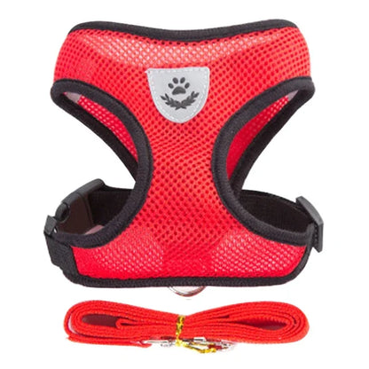 No-Pull Soft Mesh Pet Harness & Lead