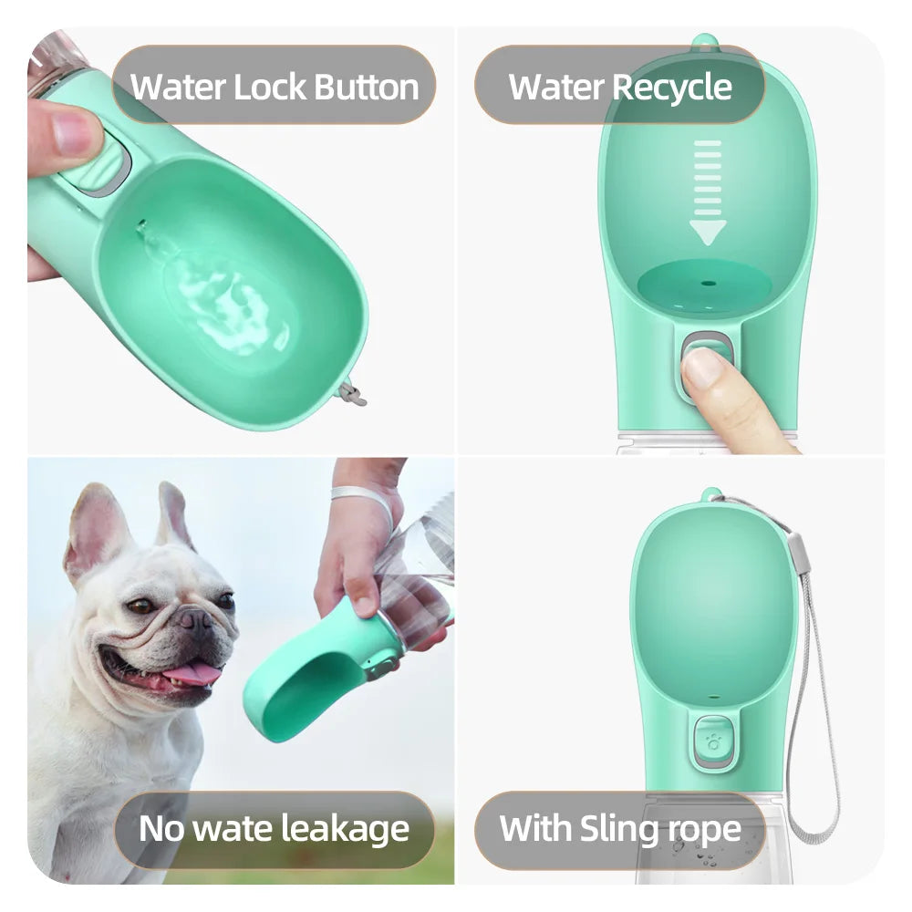 Portable Pet Water Bottle for Walks