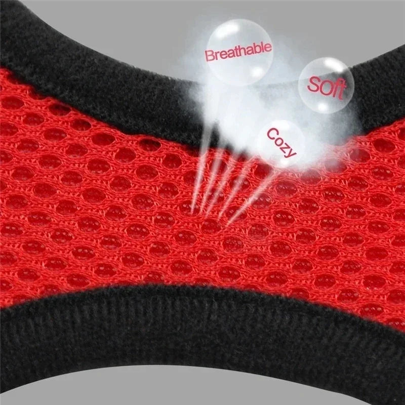 No-Pull Soft Mesh Pet Harness & Lead
