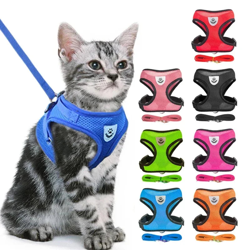No-Pull Soft Mesh Pet Harness & Lead