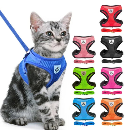 No-Pull Soft Mesh Pet Harness & Lead