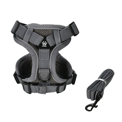 Adventure Cat Tactical Harness & Lead
