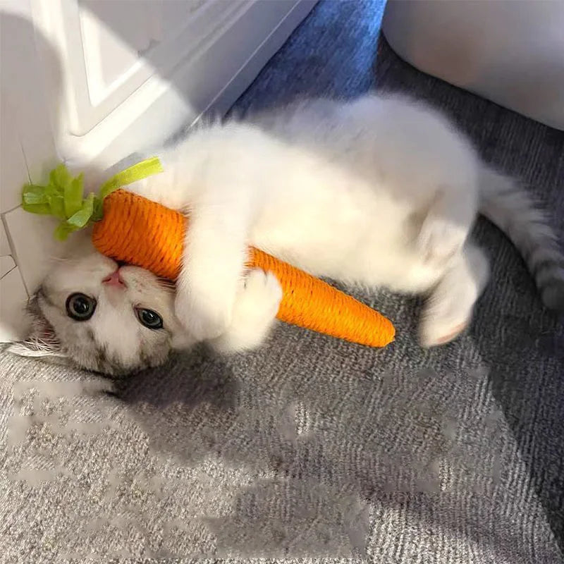 Squeaky Plush Carrot Cat Toy
