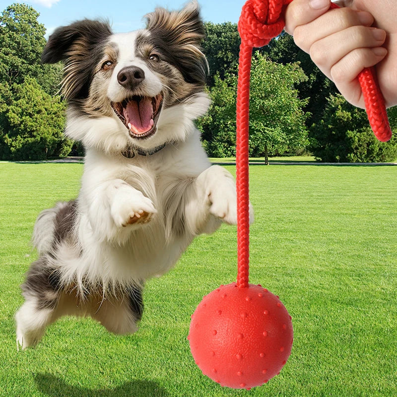 Indestructible Rubber & Rope Dental Ball