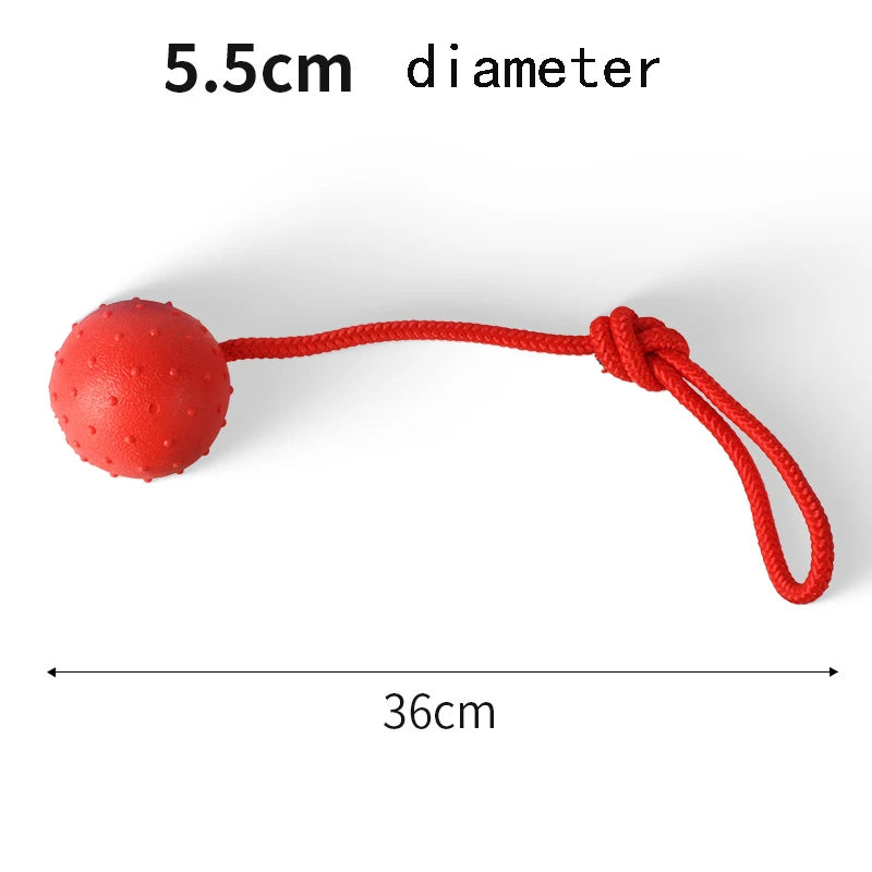 Indestructible Rubber & Rope Dental Ball