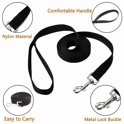 "Freedom" Long Training Lead