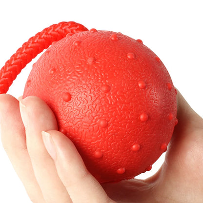 Indestructible Rubber & Rope Dental Ball