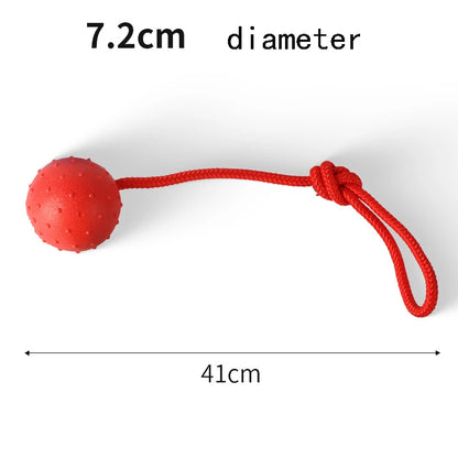 Indestructible Rubber & Rope Dental Ball