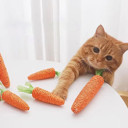 Squeaky Plush Carrot Cat Toy
