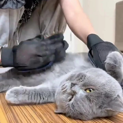 "Touch of Love" Magic Silicone Glove